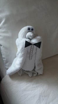 towel animal that staff made in room