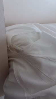 ripped sheet - the linen was poor