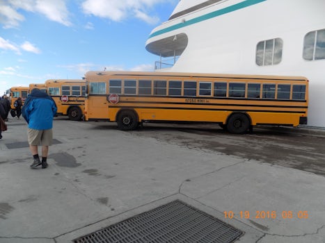 Another school bus used for excursions