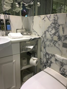 Marble bathroom with shower