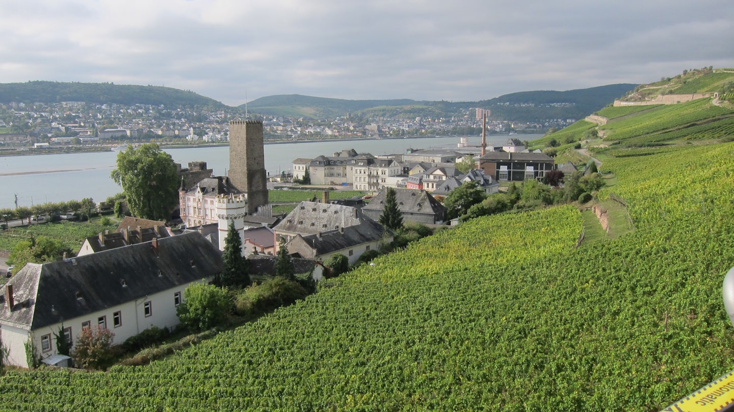 Riding a gondola over the vineyards during an excursion in Rudesheim, Germa