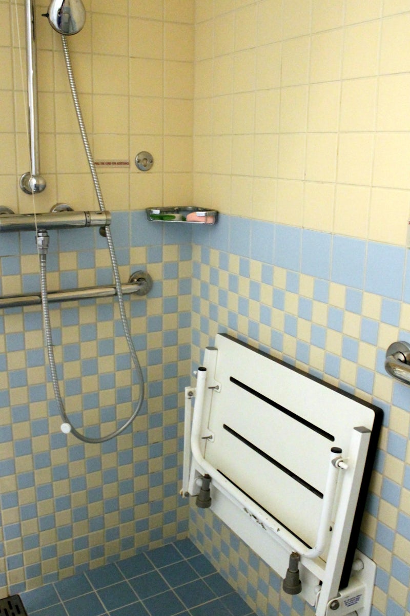Handicapped shower