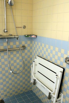 Handicapped shower