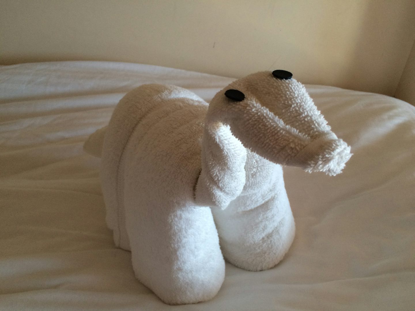 New towel animals appeared daily.