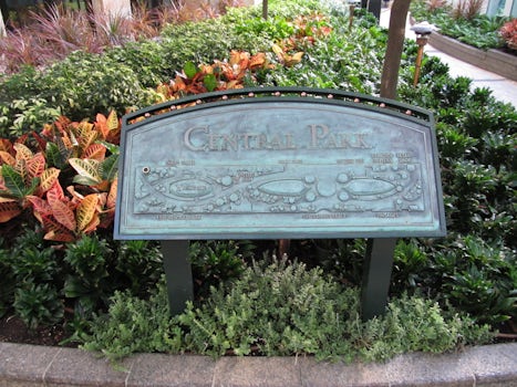 Entrance to Central Park (Deck 8)