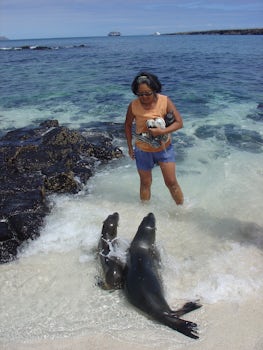 sea lions are the friendliest animals in galapagos