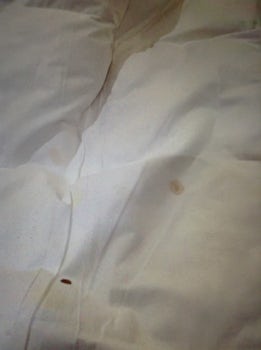 Blood and urine on mattress pad