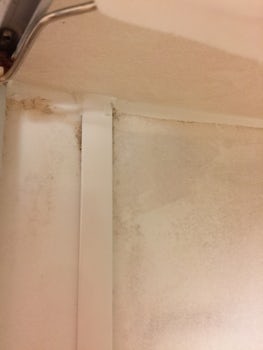 Mold in the seams of the shower wall.