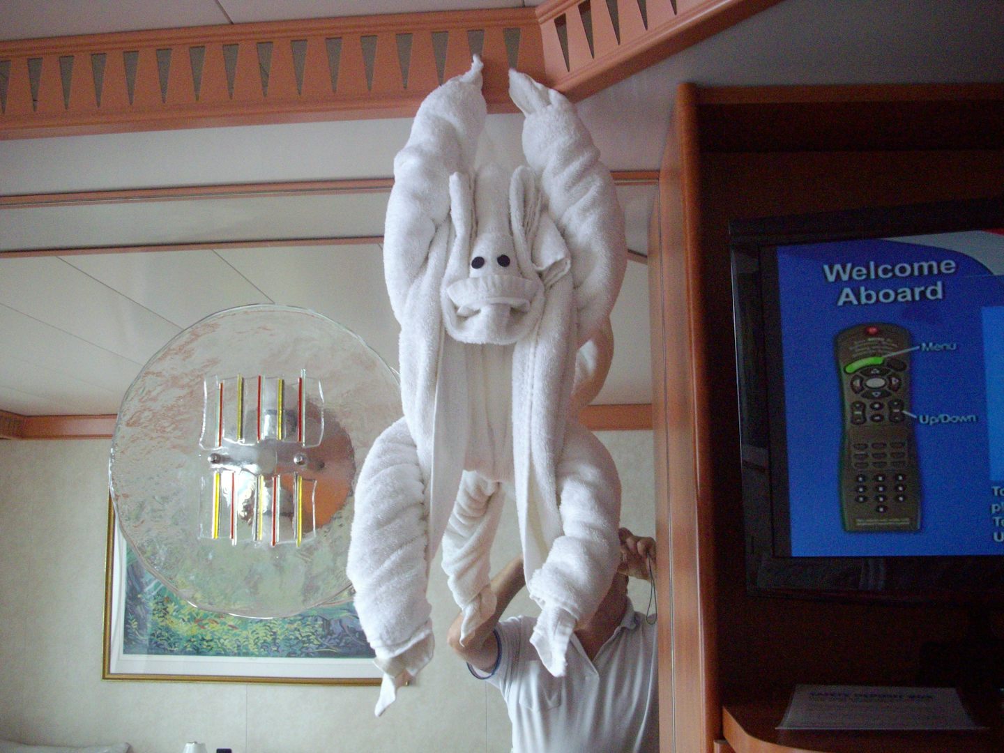 The cabin staff folded towels into animals...each day a different one...I l