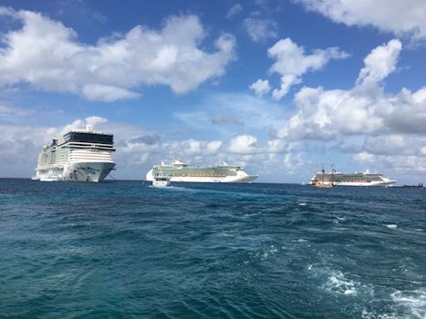 Norwegian Epic, Royal Freedom of the Seas and Celebrity Reflection in Grand