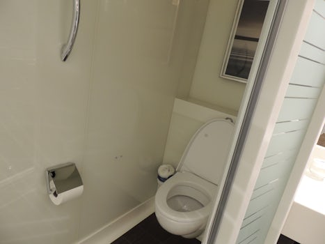 Separate toilet area with glossy glass for privacy, cabin 9706.