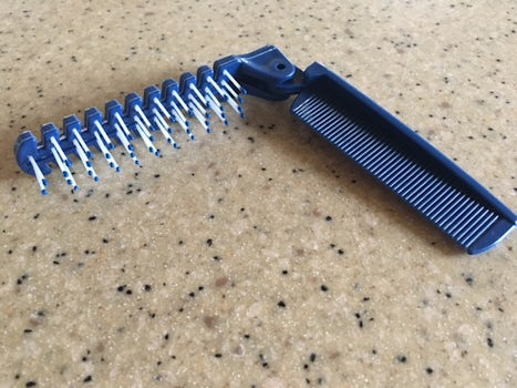 The comb/brush we were to use for 5 days. Just NUTS!