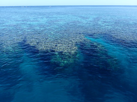 Ribbon Reef No 3 from top deck.