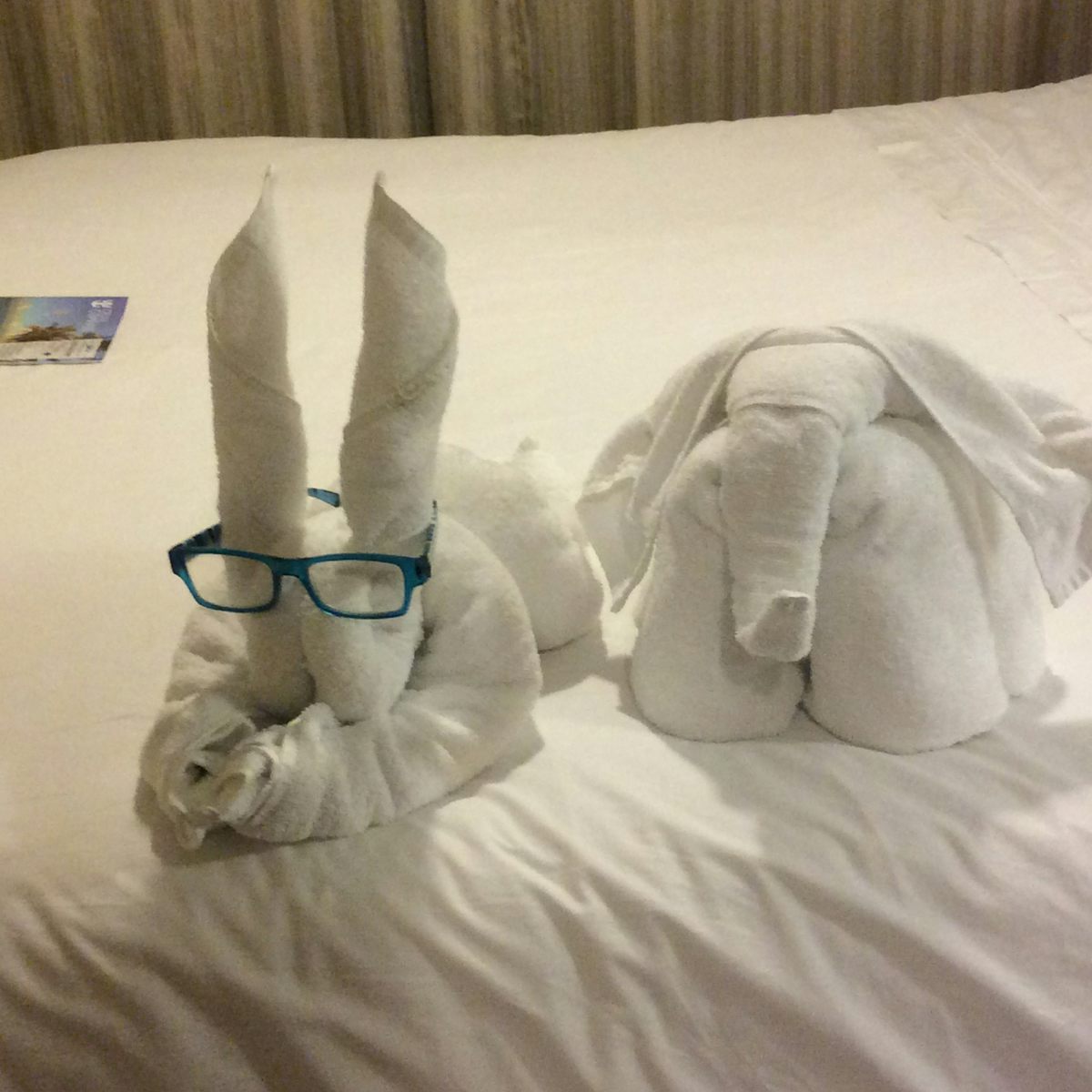 Towel animal wearing my reading glasses!