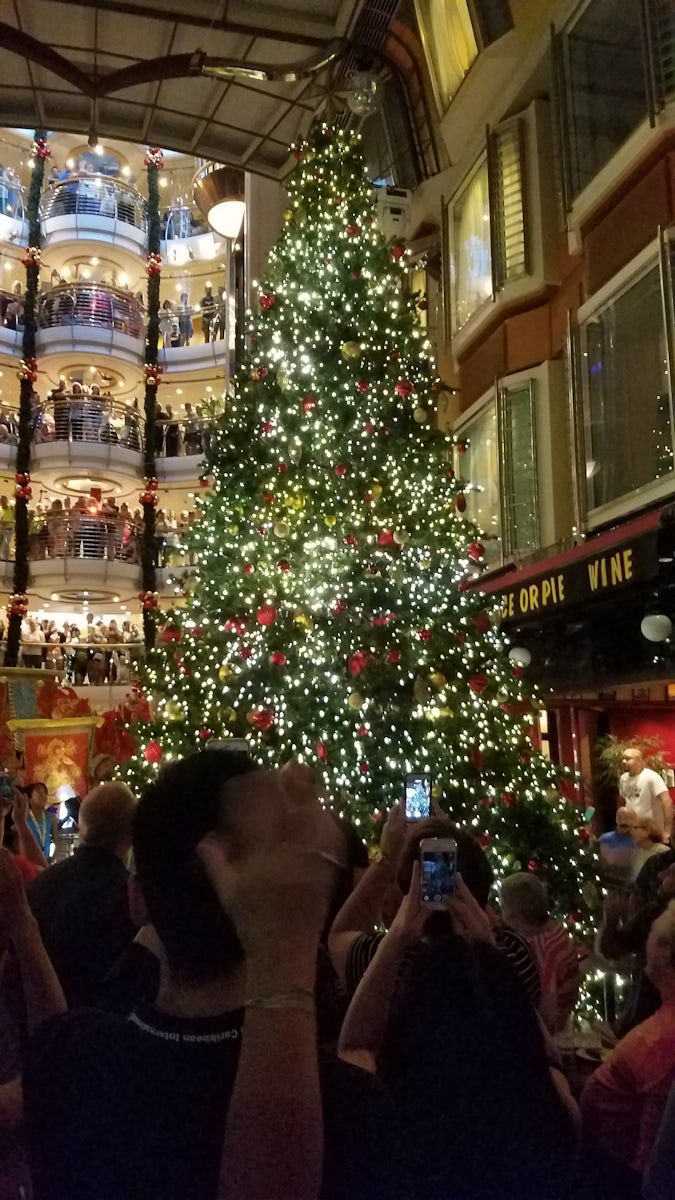 Freedom's Christmas Tree