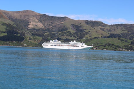 Our ship in Wellington Harbour