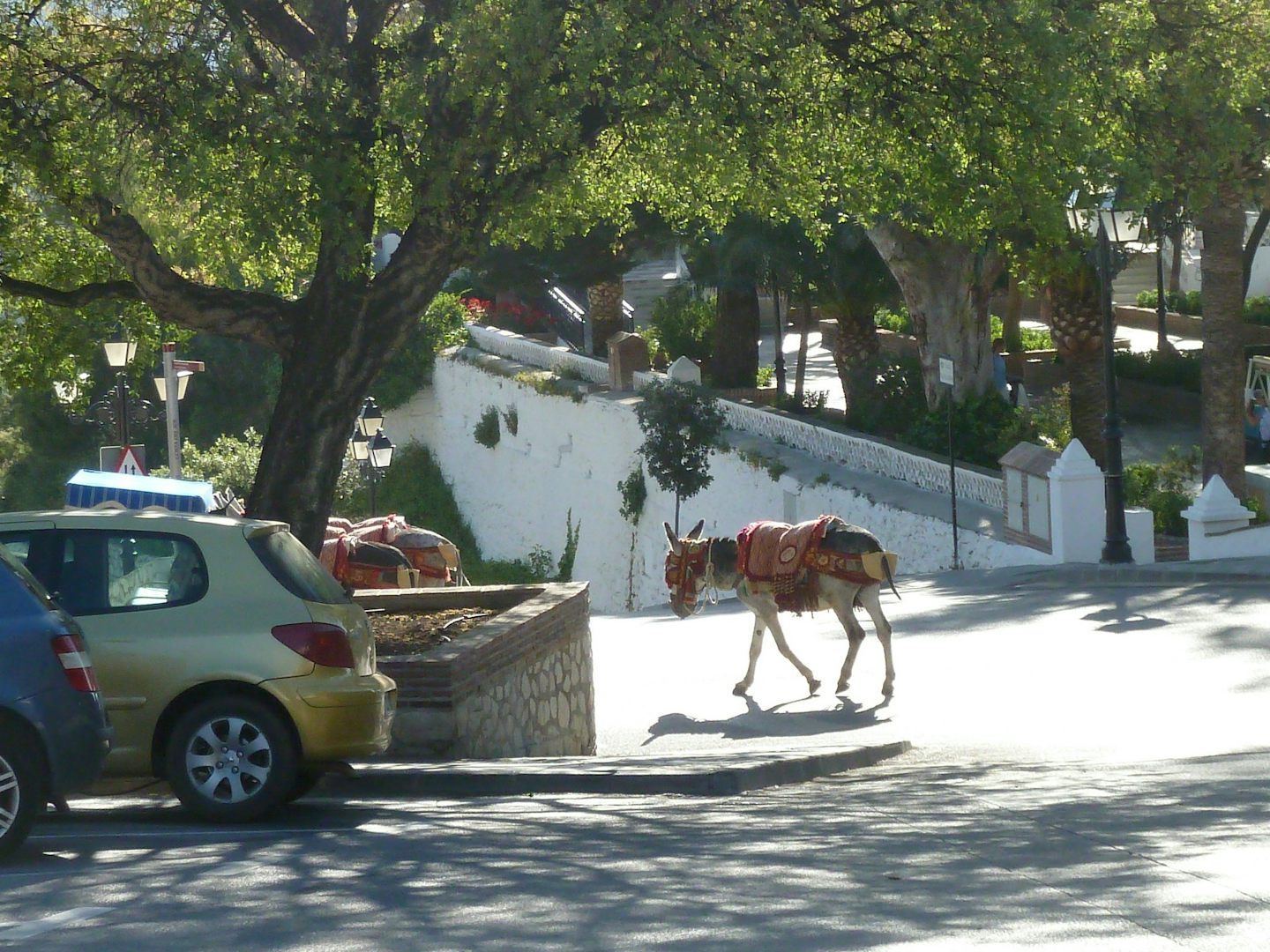 Donkey about town, Mijas, Spain