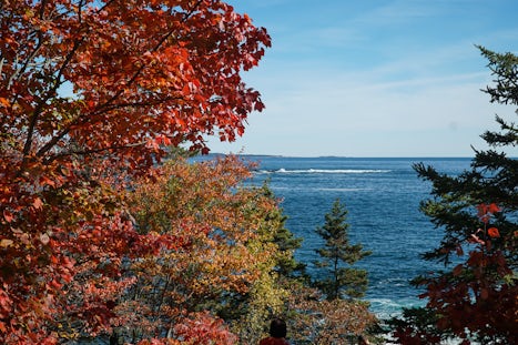 Acadia National Park with fall colors.
