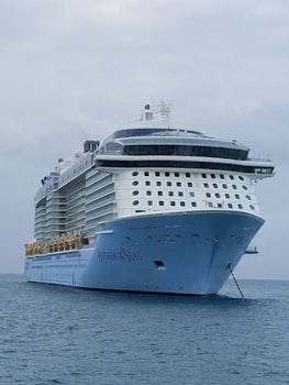View of the Anthem of the Seas taken from our tender on return to the ship