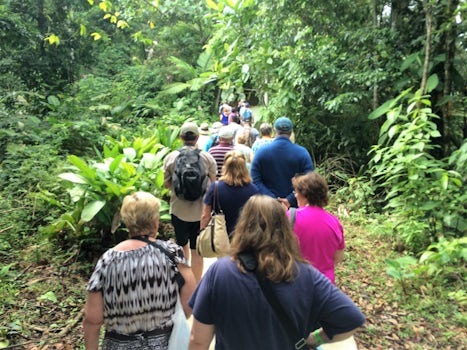 Rainforest walk in the Veragua rainforest.
