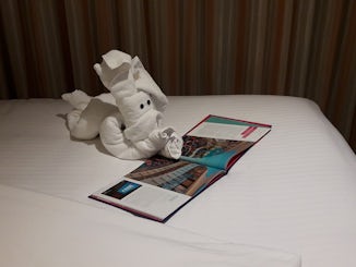 Came back to find this little guy looking at a book about Carnival Vista