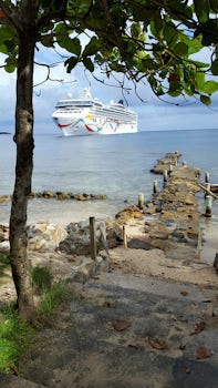 View of the Norwegian Dawn from the shore in Roatan.
