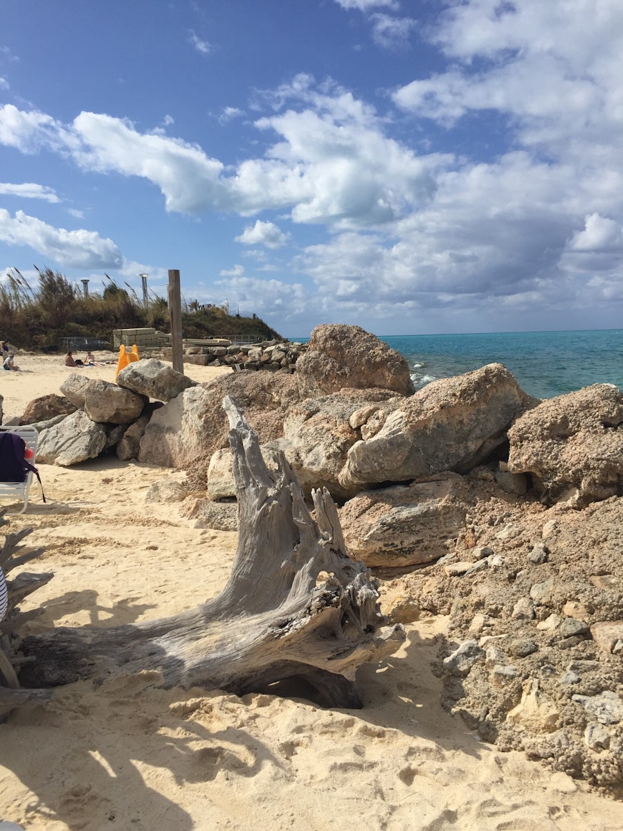 Driftwood on the beach, Snorkel Park Bermuda