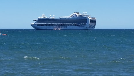 The beautiful Ruby Princess out in the Sea of Cortez.