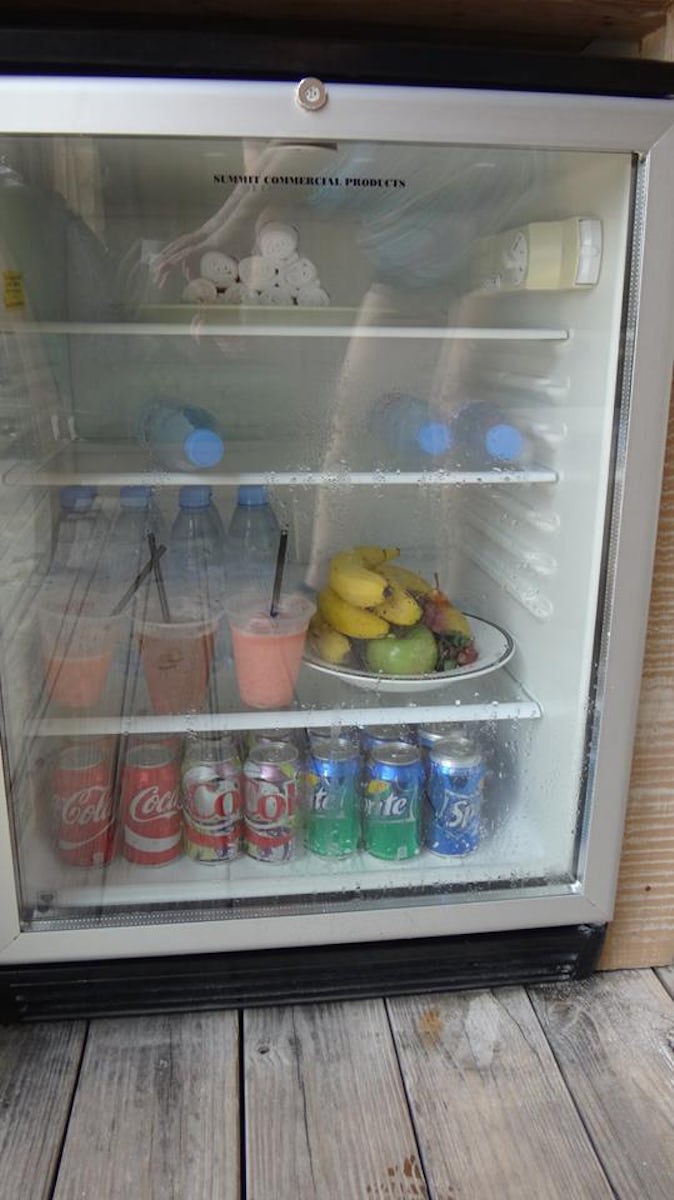 The cabanas at Castaway Cay come with a fully stocked fridge.  We also kept our adult beverages in there to keep them cool.