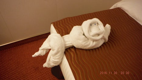A towel animal humping the bed.