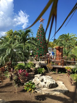Unique Christmas tree amongst palm trees in Cozumel
