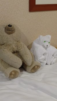 My 21 year old bear Schwartz and his twin towel animal who lasted for the whole two week trip!
