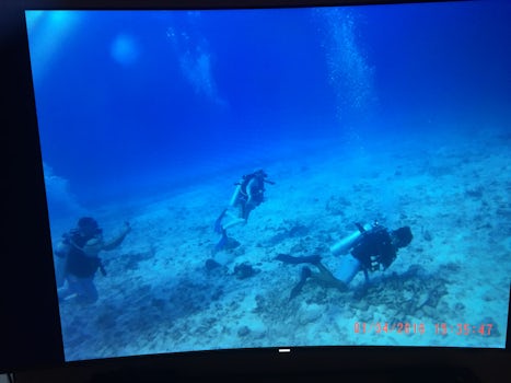 Scuba Diving
Cozumel