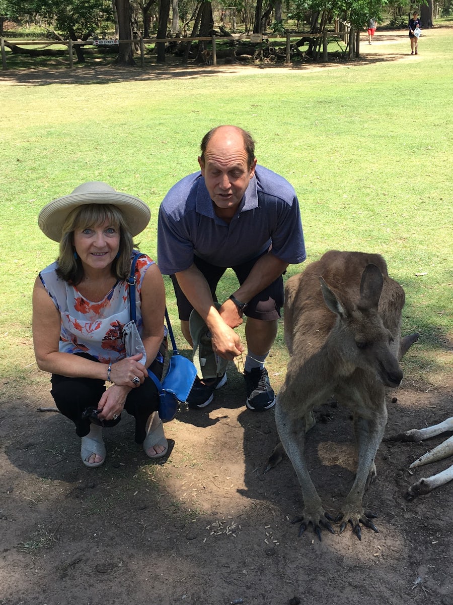 Hanging with our favorite kangaroo at the Lone Pine Koala Sanctuary in Brisbane, Australia!  We were even able to cuddle a koala at the sanctuary!!!