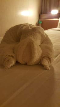 One of the many towell animals our wonderful cabin crew made each night.