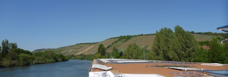 spring vineyards, sailing to Zeil on the Main River