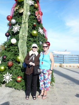 Merry Christmas from Catalina Island!