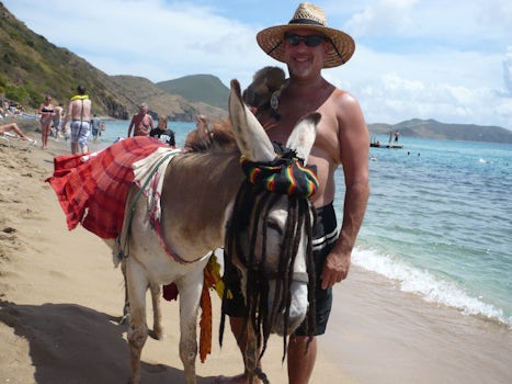 We met the friendliest donkey and monkey in Hondorous. The monkey immediately was attracted to my husband Michael.