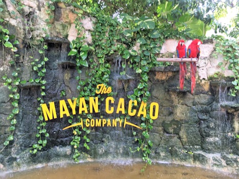 Mayan Cacao Company - Cozumel
San Gervasio Mayan Ruins/Chocolate Factory Tour