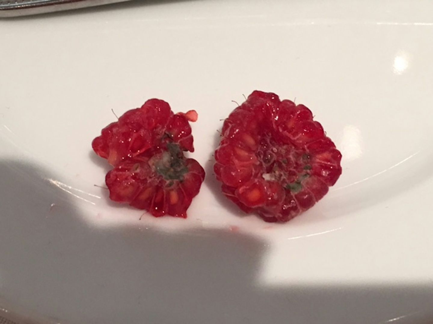 molded berries served for breakfast
