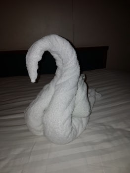Towel swan.
