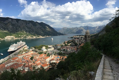 A beautiful view over Kotor, Montenegro looking back down the "fjord of the Mediterranean".  The photo was taken on an energetic walk up the surrounding cliffs dotted with fortifications and remnants of Venetian times.