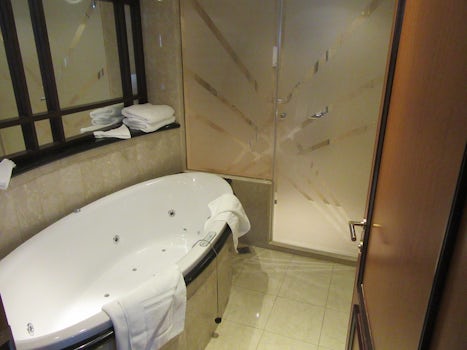 Tub and shower master bathroo