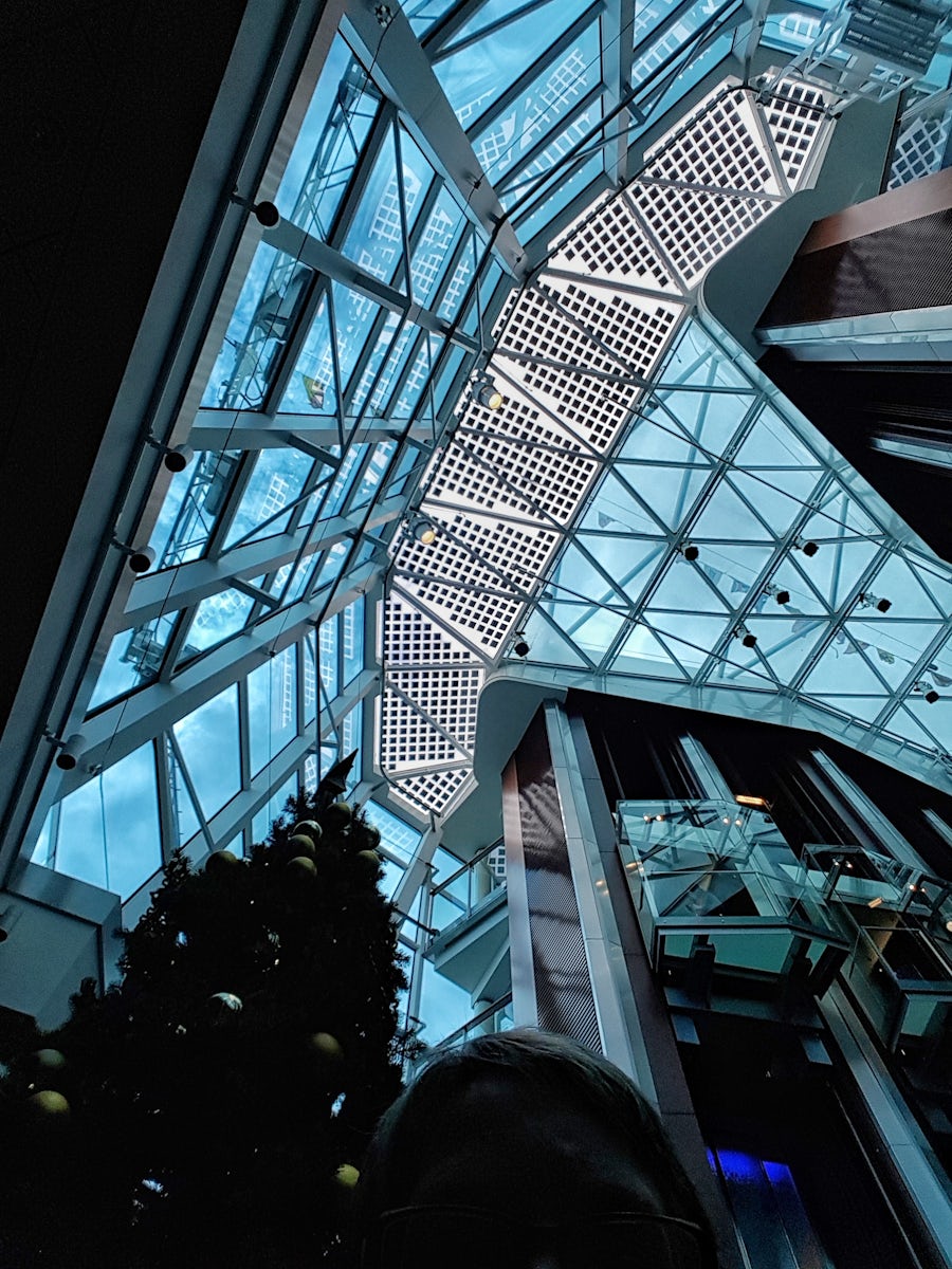 Looking up from the elevators in the atrium.