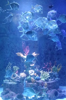 Aquarium in Atlantis