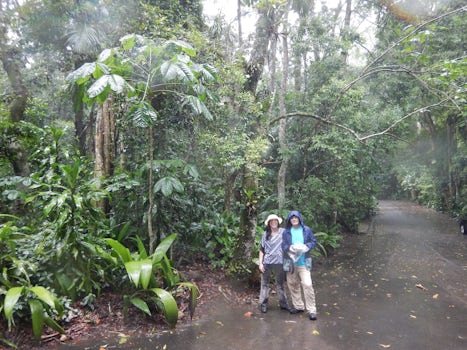 Rained on (and totally soaked) in the Brazilian Rain Forest.