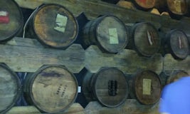 rum barrels in distillery
