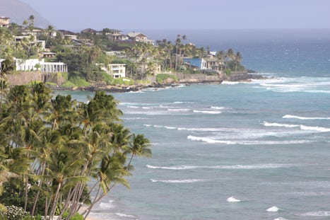 Beautiful Hawaiian shoreline covered with grove of coconut trees, just off the Diamond Head.