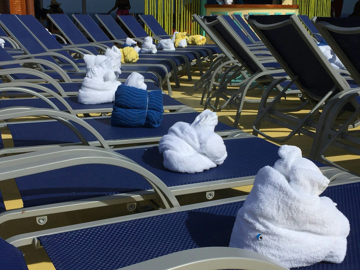 Towel animals galore magically appear overnight to greet you on the Lido deck.