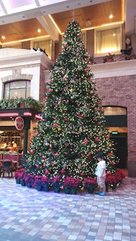 The beautiful Christmas tree